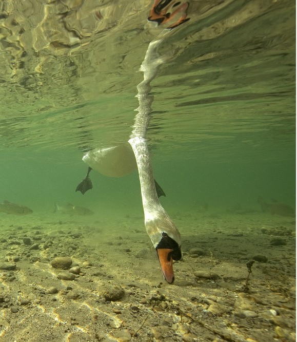 Modern Water Treatment Facility